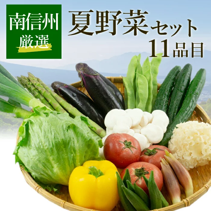 季節の夏野菜セット 11品目